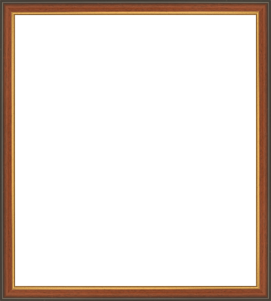 S302AA_Pale_mahogany_with_gold_inline_contemporary-classic