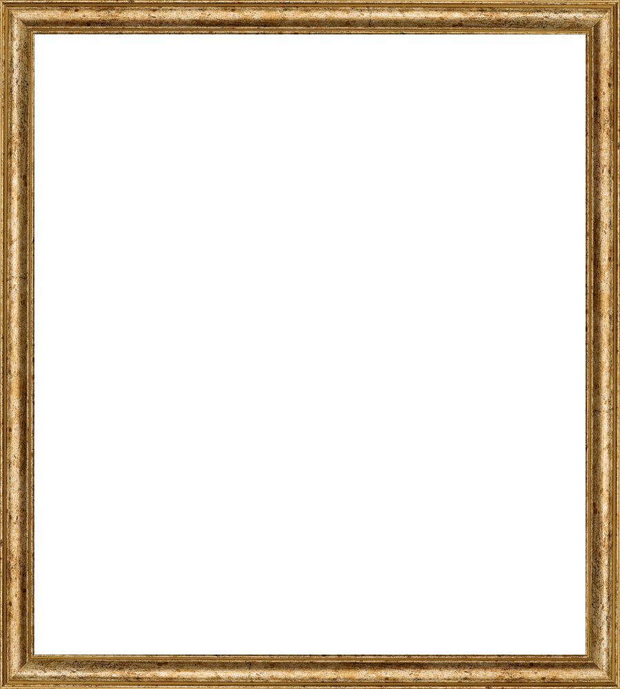 S203W_Light_gold_with_darker_gold_fleck_contemporary-classic